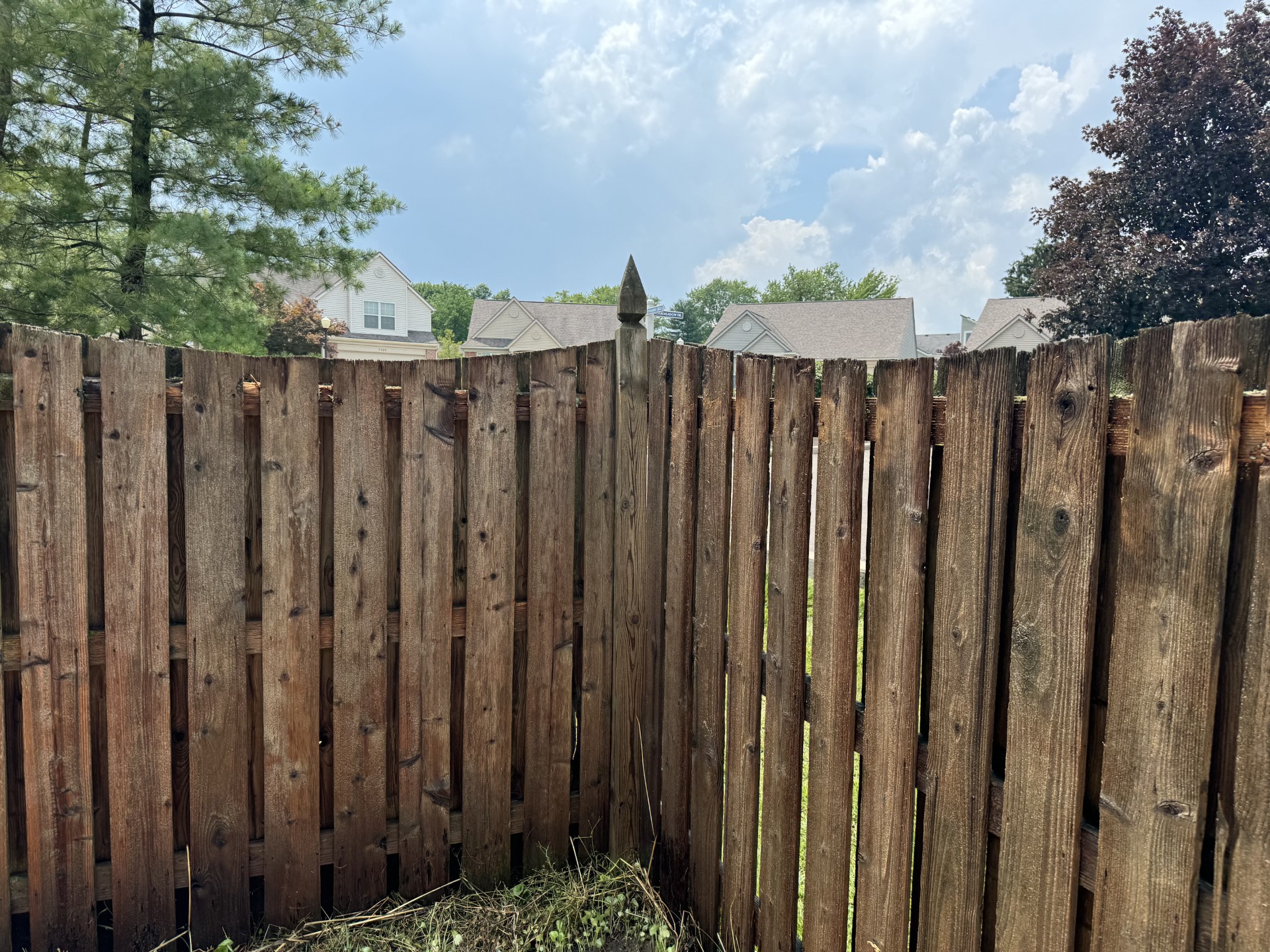 Fence after professional exterior cleaning