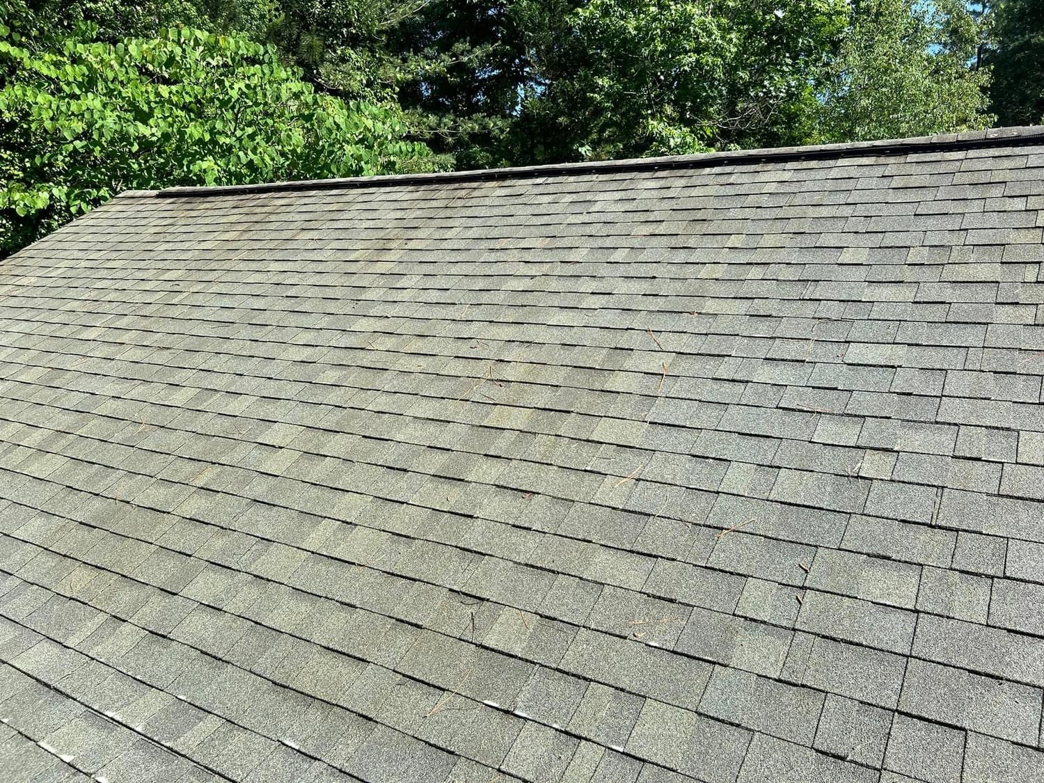 Roof after professional low-pressure cleaning