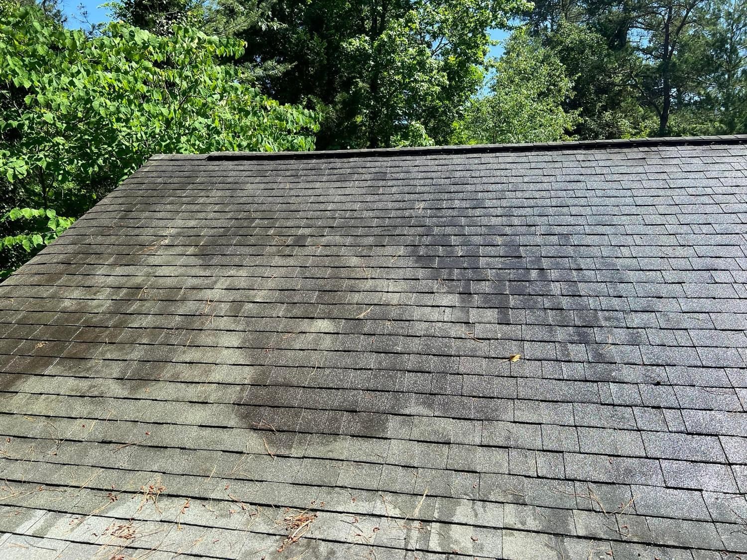 Roof before professional low-pressure cleaning